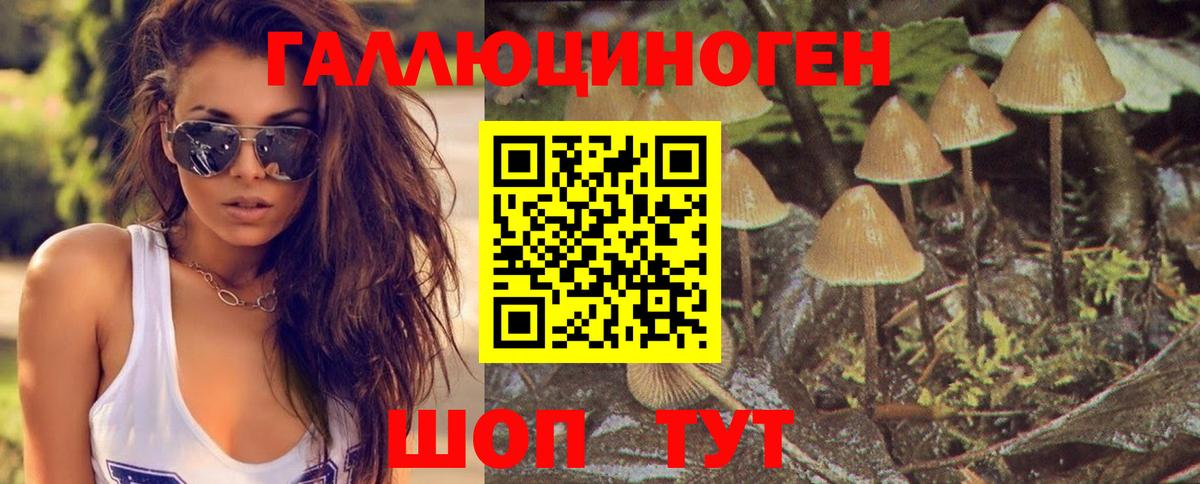 Азов  Галлюциногенные грибы прущие грибы  Вход с VPN  Псилоцибиновые грибы ЛСД 